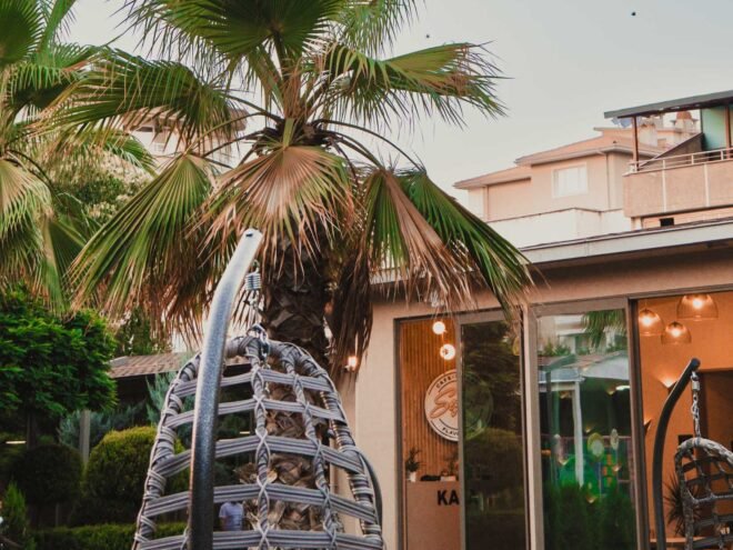 Segesta Sosyal Medya